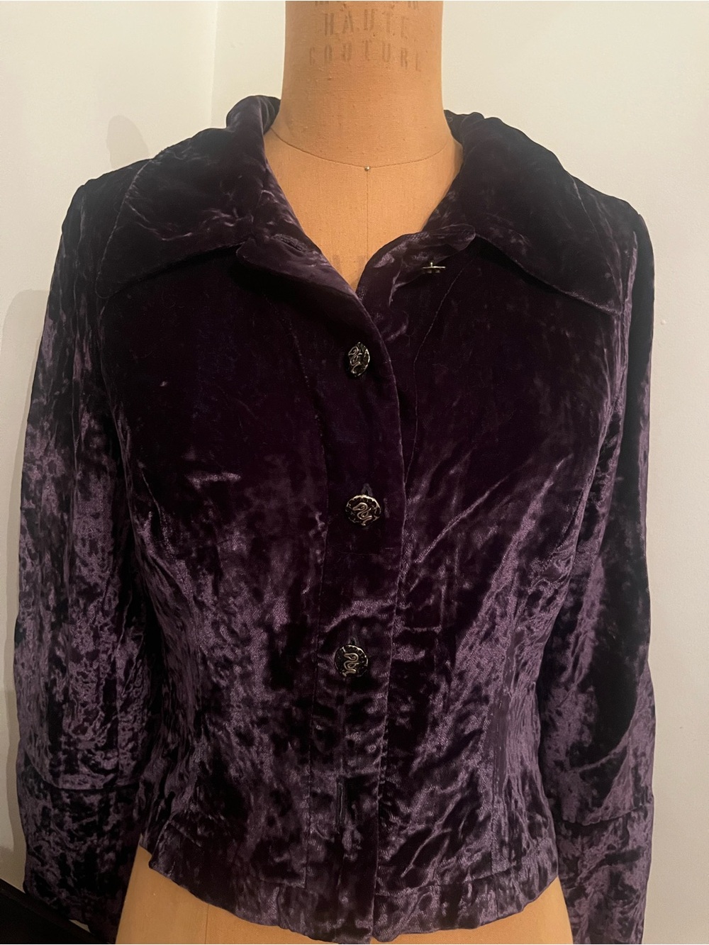 Mimi Bizjak Women's Velvet Button-Up top in Deep Purple